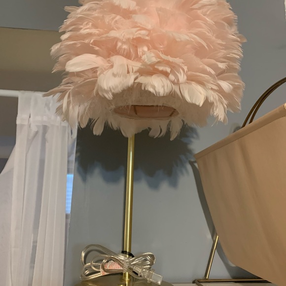 Pink feather and gold lights brand new with tags - Picture 2 of 2